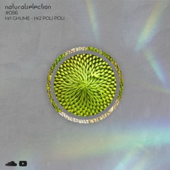 Episodio 56 - Natural Selection With Poli Poli