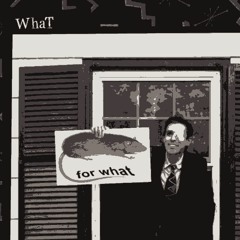 Will Wood - For What