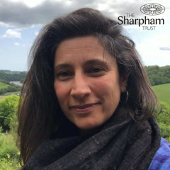 Nina Christmas 2025 meditation