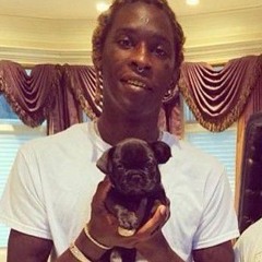 MOTY