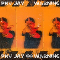 PNV Jay - Warning