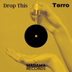 Terro - Drop This (Original Mix)