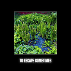 To Escape Sometimes