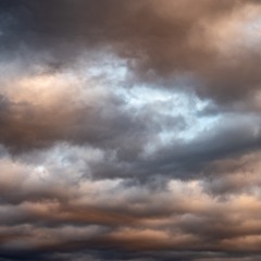 August 2020 - Jazz Bossa