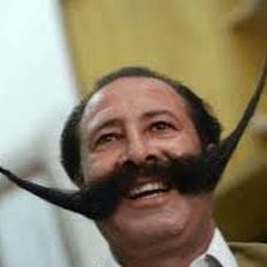 Musica Para Tu Bigote