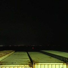 BLEXXAR X LemonTronix - Occupant Life (Marley)