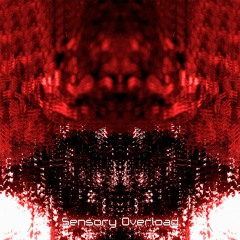 Sensory Overload