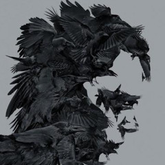 Vassila - Flying Crows (VIP) INSTRUMENTAL