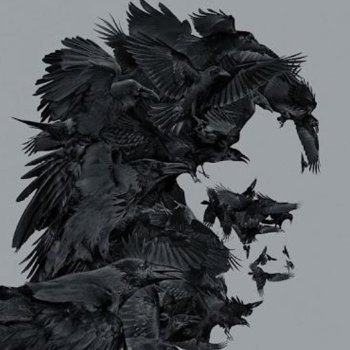 Vassila - Flying Crows (VIP) INSTRUMENTAL