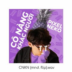 Cô Nàng Khác Người (stillsi. Flip)