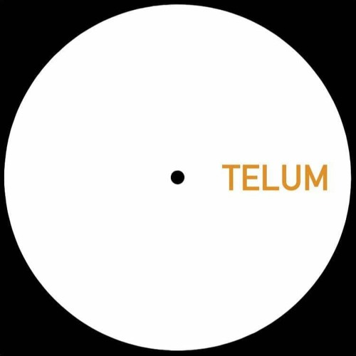 TELUM 006 - Unknown Artist - Untitled B1