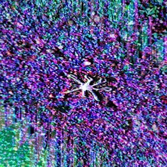 FLi8i7