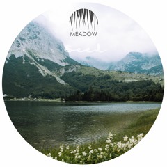 PREMIERE: Meadow - Nana [Seed]