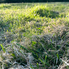 all the stuff will keep happening