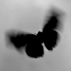 Black butterfly (Schranz mix)