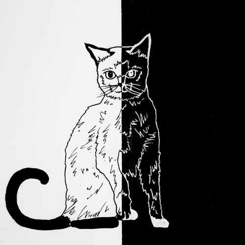 Stream Siamese by Real Fake Flowers Listen online for free on SoundCloud