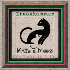 Katz & Muus @ Druckkammer Schönbühl 25