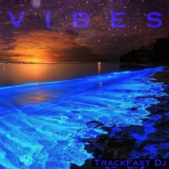 TrackFast Dj - Let Her Go Vocal