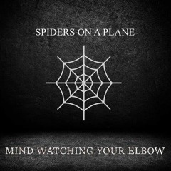 Mind Watching Your Elbow X GZF - Spiders on a Plane