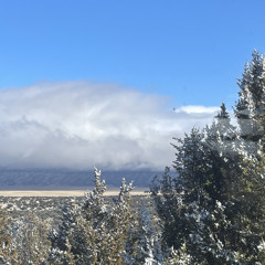 to_everything_backup.mp3