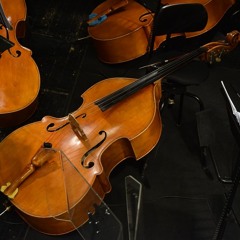 Instruments 360, El contrabaix
