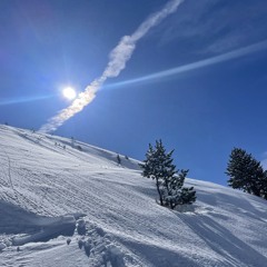 Clean side of Schöni 23/24