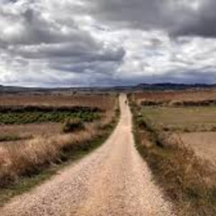 Camino
