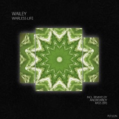 Premiere: Wailey - Warless Life (Rass (BR) Remix) [Polyptych Noir]