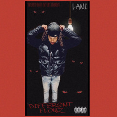 Different Flowz Freestyle