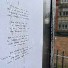 The Carriages Of My Train Of Thought