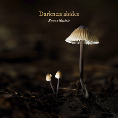 Darkness abides