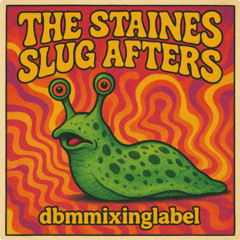 The Staines Slug Afters - Fresh Crew In The Crib!!!