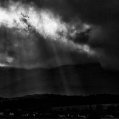 Farewell and Fare Thee Well to Mull