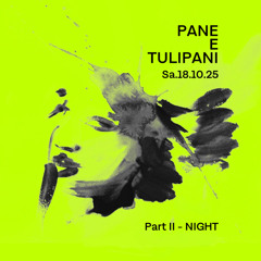 PANE E TULIPANI Dinner & Music 18.10.25 Live DJ Set Part II - NIGHT