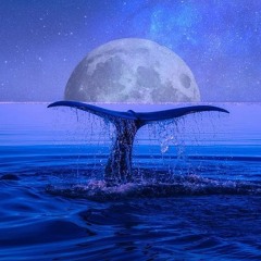 Whale