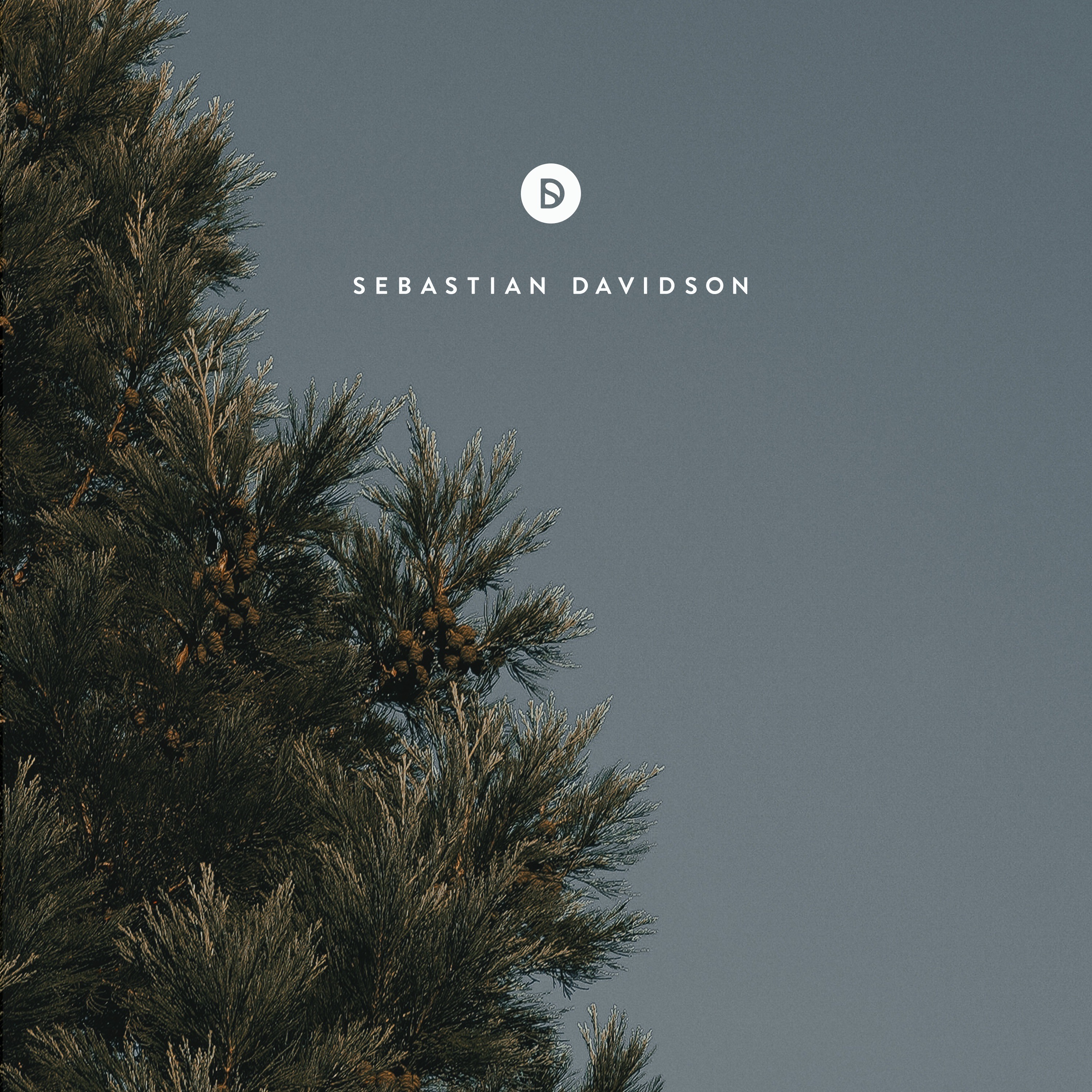 Voyage of Discovery by Sebastian Davidson