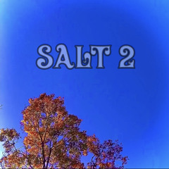 Salt 2