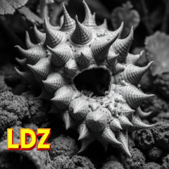 What does it cost LDSR 217