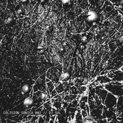 COLISION SONICA 002 - DJ SUL