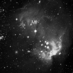 sterne sehen /w. celina pazour