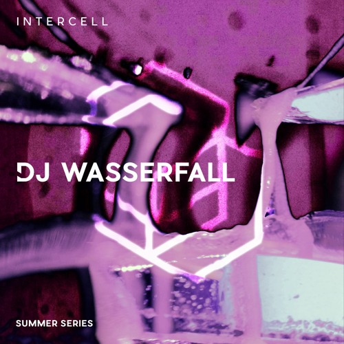 DJ WASSERFALL at Intercell - Summer Series - Else Berlin 2023
