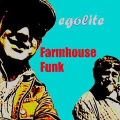 Farmhouse Funk