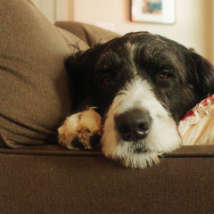 Nameless 125BPM c#min Barsen x Mccoy x Landers