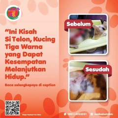 0817-273-670 Tempat Vaksin Anjing Tangerang Selatan, Rambad Vet Clinic