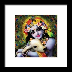Shri Radhe Govinda Man Bhaj Le Hari Ka Pyara Naam Hai
