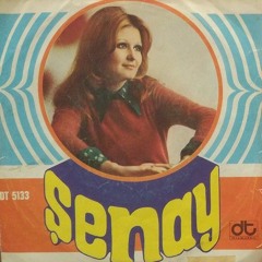 Şenay - Gerçek Nerde 1974 (Analog Plak Kaydı)