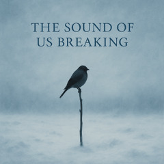 The Sound of Us Breaking