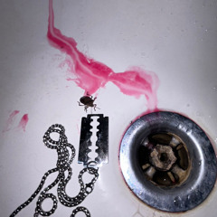 The baby in a Wheelchair