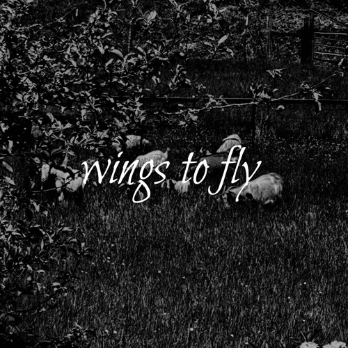 wings to fly