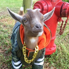 "LITTLE PIMP" x mo * camo dreddz green x cuban Ziggy Santana